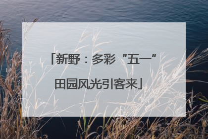 新野：多彩“五一” 田园风光引客来