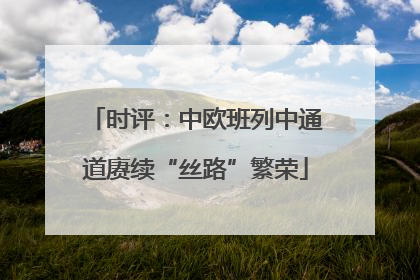 时评：中欧班列中通道赓续“丝路”繁荣