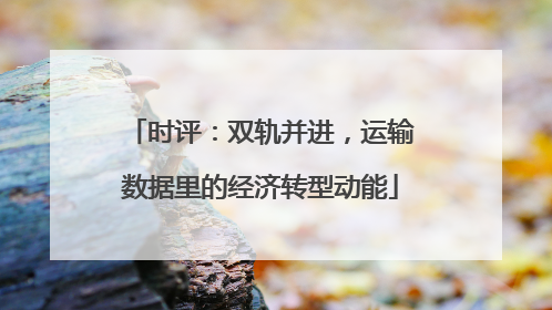 时评：双轨并进，运输数据里的经济转型动能