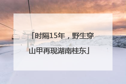 时隔15年，野生穿山甲再现湖南桂东