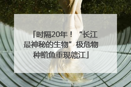 时隔20年！“长江最神秘的生物”极危物种鳤鱼重现赣江