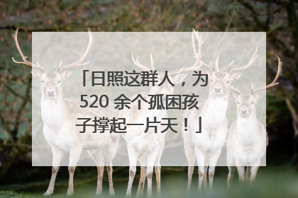 日照这群人，为 520 余个孤困孩子撑起一片天！