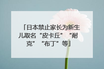 日本禁止家长为新生儿取名“皮卡丘”“耐克”“布丁”等