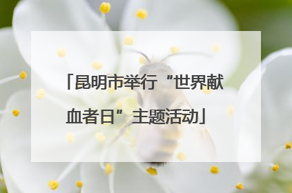 昆明市举行“世界献血者日”主题活动