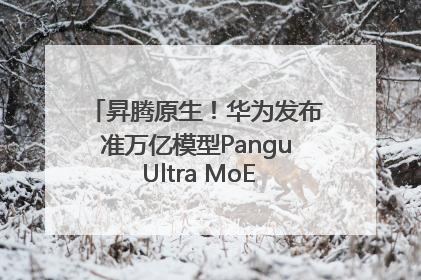 昇腾原生！华为发布准万亿模型Pangu Ultra MoE模型架构和训练细节