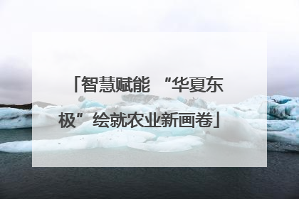 智慧赋能 “华夏东极”绘就农业新画卷