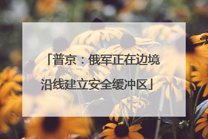 普京：俄军正在边境沿线建立安全缓冲区