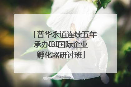 普华永道连续五年承办IBI国际企业孵化器研讨班