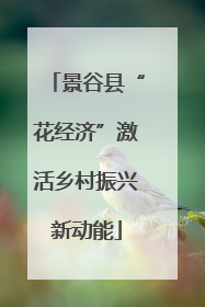 景谷县“花经济”激活乡村振兴新动能
