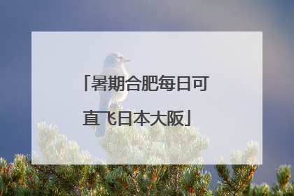 暑期合肥每日可直飞日本大阪