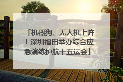 机器狗、无人机上阵！深圳福田举办综合应急演练护航十五运会