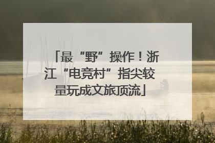 最“野”操作！浙江“电竞村”指尖较量玩成文旅顶流