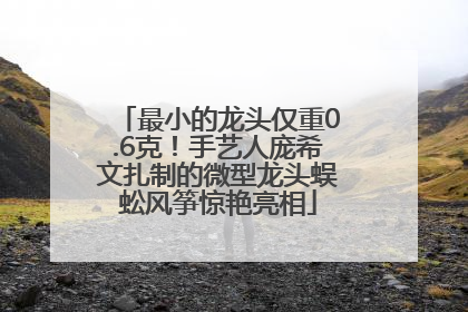 最小的龙头仅重0.6克！手艺人庞希文扎制的微型龙头蜈蚣风筝惊艳亮相