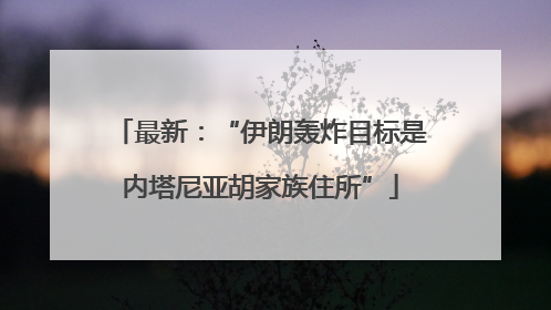 最新：“伊朗轰炸目标是内塔尼亚胡家族住所”
