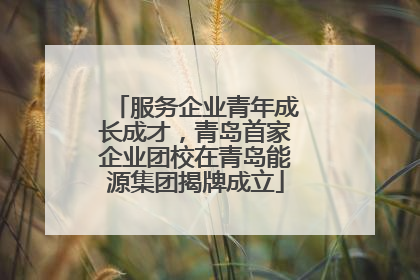服务企业青年成长成才，青岛首家企业团校在青岛能源集团揭牌成立