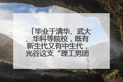 毕业于清华、武大、华科等院校，既有新生代又有中生代，光谷这支“理工男团”为何“出道”？