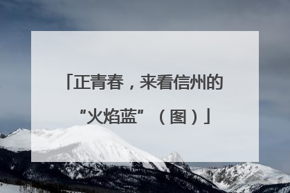 正青春，来看信州的“火焰蓝”（图）