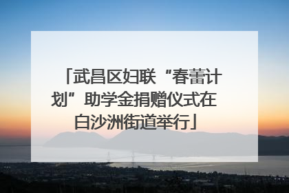 武昌区妇联“春蕾计划”助学金捐赠仪式在白沙洲街道举行