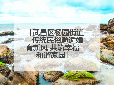 武昌区杨园街道：传统民俗邂逅婚育新风 共筑幸福和谐家园