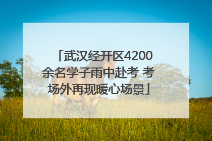 武汉经开区4200余名学子雨中赴考 考场外再现暖心场景