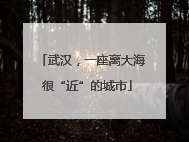 武汉，一座离大海很“近”的城市