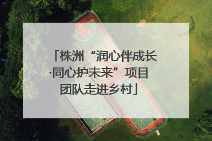 株洲“润心伴成长·同心护未来”项目团队走进乡村