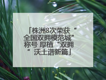 株洲8次荣获“全国双拥模范城”称号 厚植“双拥”沃土谱新篇
