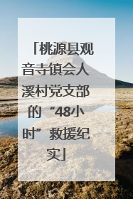 桃源县观音寺镇会人溪村党支部的“48小时”救援纪实