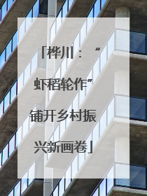桦川：“虾稻轮作”铺开乡村振兴新画卷