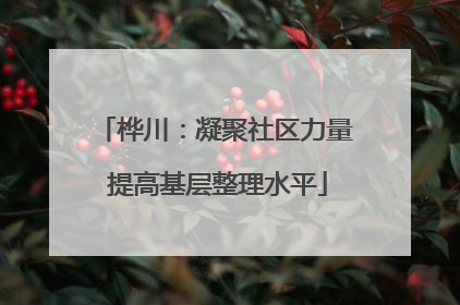 桦川：凝聚社区力量 提高基层整理水平