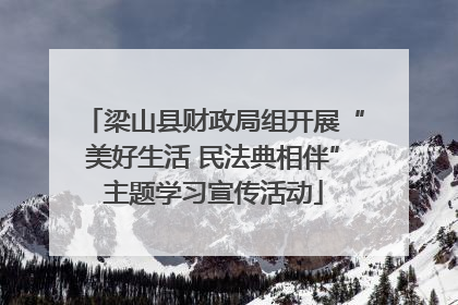 梁山县财政局组开展“美好生活 民法典相伴”主题学习宣传活动