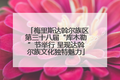 梅里斯达斡尔族区第三十八届“库木勒”节举行 呈现达斡尔族文化独特魅力