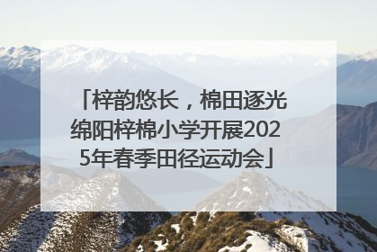 梓韵悠长，棉田逐光 绵阳梓棉小学开展2025年春季田径运动会