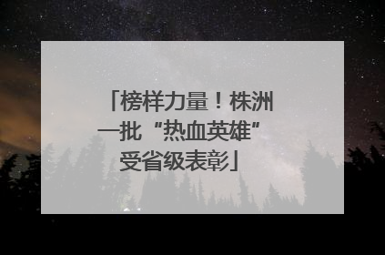 榜样力量！株洲一批“热血英雄”受省级表彰