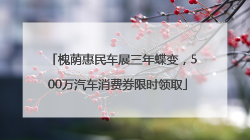 槐荫惠民车展三年蝶变，500万汽车消费券限时领取