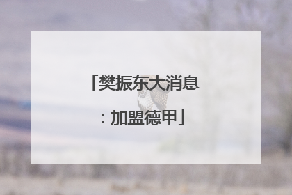 樊振东大消息：加盟德甲