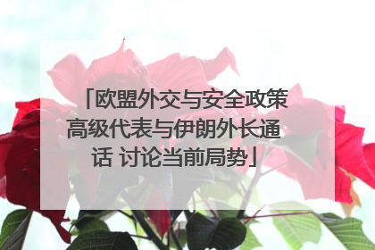 欧盟外交与安全政策高级代表与伊朗外长通话 讨论当前局势