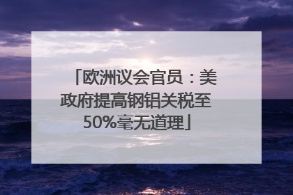 欧洲议会官员：美政府提高钢铝关税至50%毫无道理