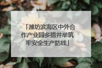 潍坊滨海区中外合作产业园多措并举筑牢安全生产防线