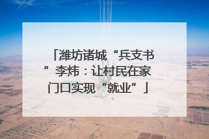 潍坊诸城“兵支书”李炜：让村民在家门口实现“就业”