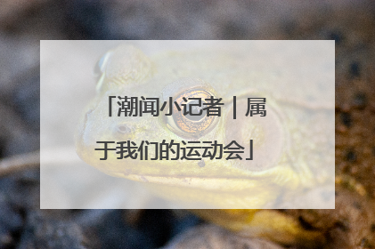 潮闻小记者｜属于我们的运动会