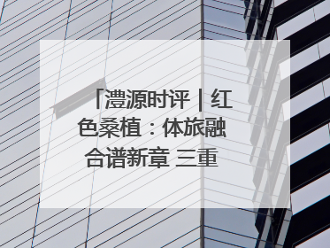 澧源时评｜红色桑植：体旅融合谱新章 三重叙事绘华光