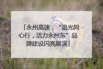 永州高速：“追光同心行，活力永州东”品牌建设闪亮展演