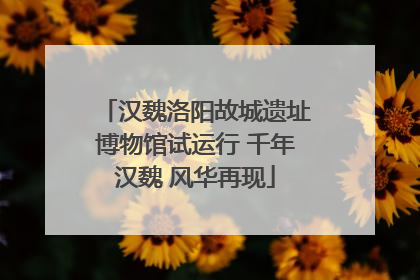 汉魏洛阳故城遗址博物馆试运行 千年汉魏 风华再现