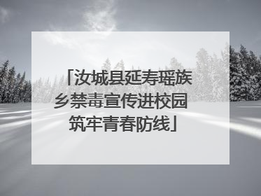 汝城县延寿瑶族乡禁毒宣传进校园 筑牢青春防线