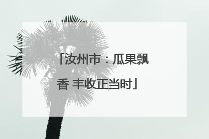 汝州市：瓜果飘香 丰收正当时