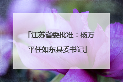 江苏省委批准：杨万平任如东县委书记