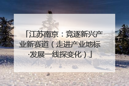 江苏南京：竞逐新兴产业新赛道（走进产业地标·发展一线探变化）