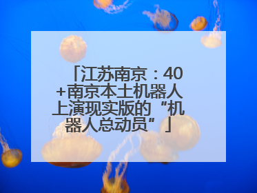 江苏南京：40+南京本土机器人上演现实版的“机器人总动员”