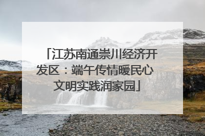 江苏南通崇川经济开发区：端午传情暖民心 文明实践润家园